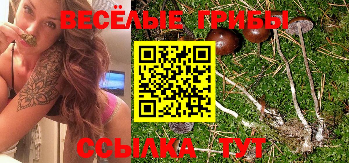 Галлюциногенные грибы мицелий Малоярославец