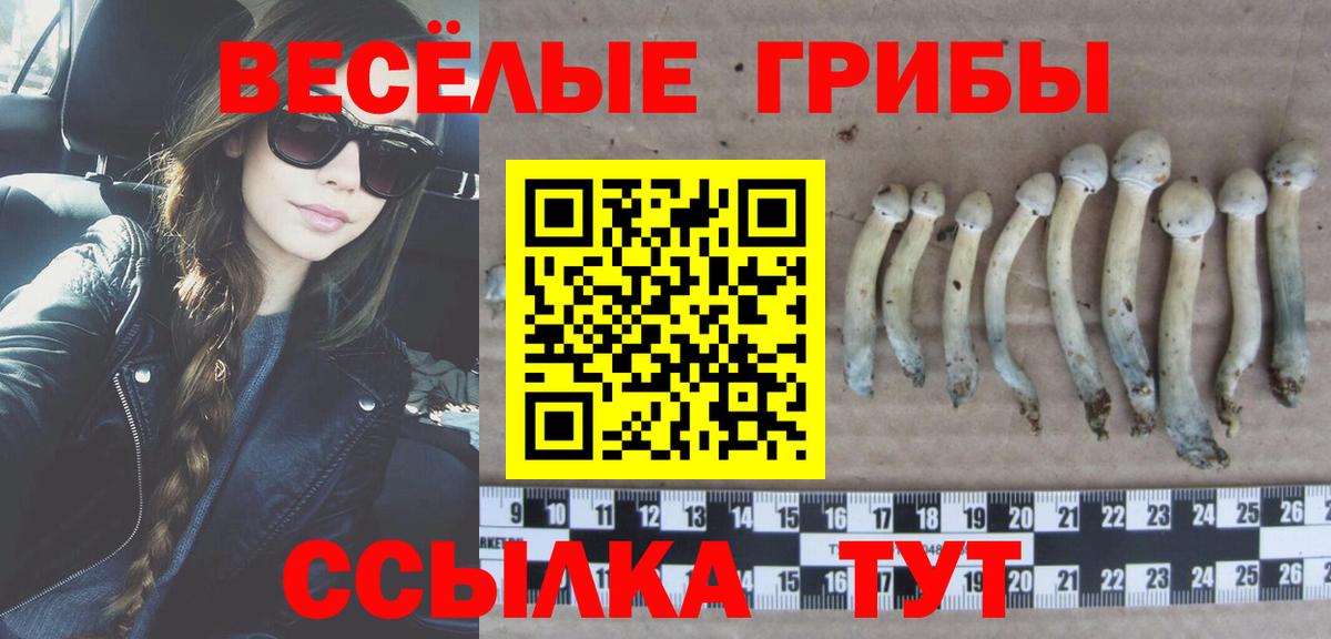 Галлюциногенные грибы мухоморы  Галлюциногенные грибы мицелий  Вход с VPN  Малоярославец 